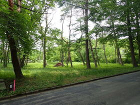 群馬県利根郡昭和村大字川額