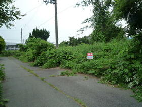 滋賀県高島市マキノ町西浜