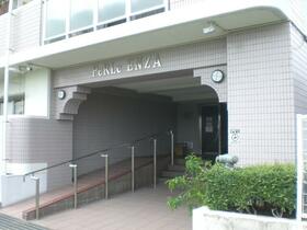 ペルル円座