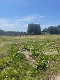 岩手県奥州市胆沢小山字中昼沢