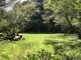 神奈川県足柄下郡箱根町仙石原