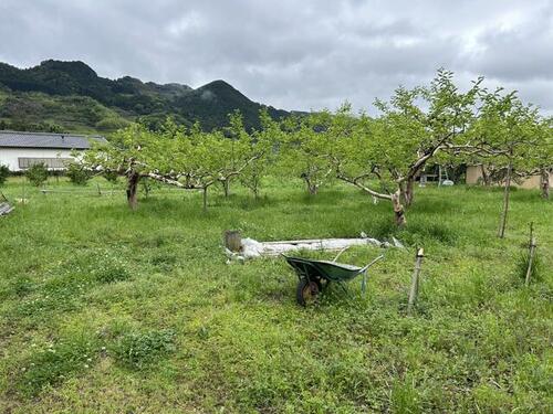 Land, Ukiha, Fukuoka