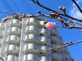 ロワジール熱川南