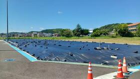 千葉県東金市田間