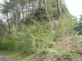 長野県諏訪郡富士見町落合