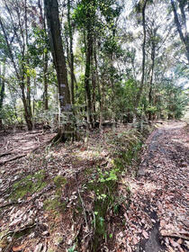 滋賀県大津市伊香立南庄町