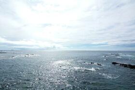 和歌山県西牟婁郡白浜町椿