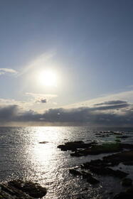 和歌山県西牟婁郡白浜町椿