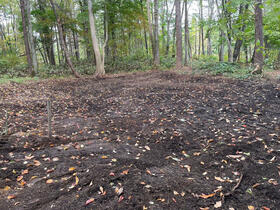長野県上水内郡信濃町大字野尻