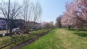 北海道札幌市白石区菊水元町十条１丁目