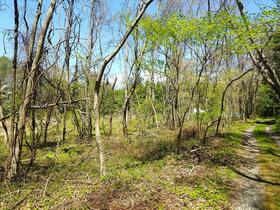 山梨県北杜市大泉町谷戸