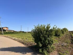 千葉県八街市東吉田