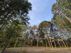 長野県北佐久郡軽井沢町大字長倉古宿