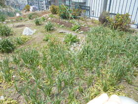 兵庫県神戸市長田区五位ノ池町４丁目