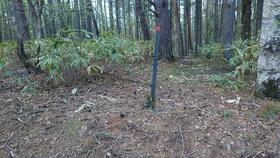 長野県木曽郡木曽町開田高原西野