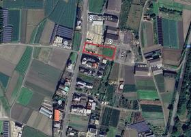 徳島県徳島市国府町早淵