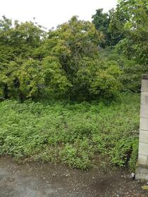 群馬県前橋市樋越町