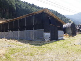 徳島県美馬郡つるぎ町半田字上蓮