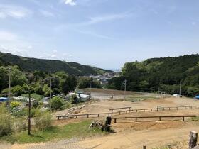 静岡県裾野市茶畑