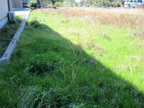 静岡県浜松市浜名区新原