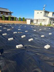 徳島県阿南市見能林町青木