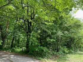 長野県北安曇郡白馬村大字北城