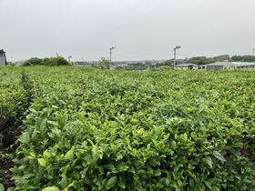 愛知県豊田市竜神町神田