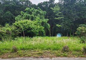 栃木県鹿沼市白桑田