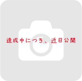 茨城県鹿嶋市大字宮中