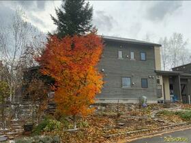 北海道上川郡美瑛町憩が丘