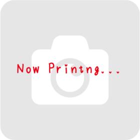 茨城県鹿嶋市大字須賀