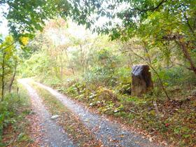 山梨県北杜市白州町横手