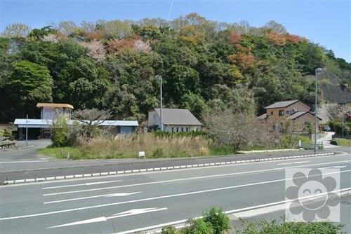 土地, 愛媛県 南宇和郡愛南町
