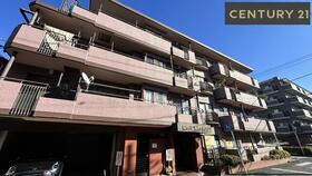 セザール第三武蔵新城