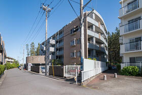 神奈川県平塚市袖ケ浜