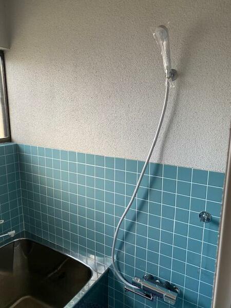 detached 群馬県吾妻郡中之条町大字中之条町

地図を見る