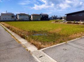 愛知県西尾市一色町前野端田