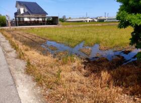 愛知県西尾市一色町前野端田
