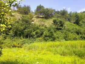 宮城県角田市神次郎字東中田