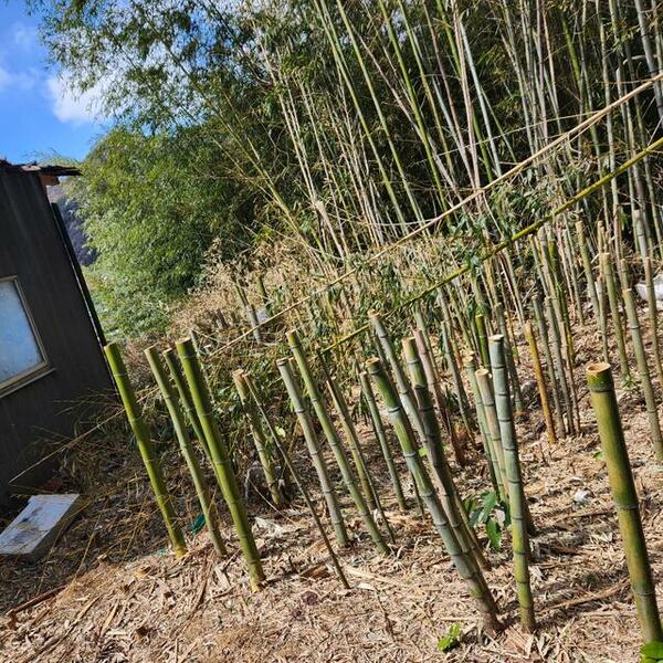 detached 栃木県日光市鬼怒川温泉大原

地図を見る