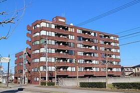 信開ドムス駅南