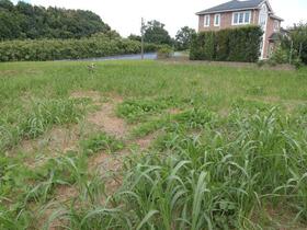 茨城県牛久市小坂町