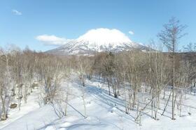 北海道虻田郡倶知安町字比羅夫