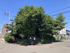 北海道札幌市南区南三十八条西１１丁目