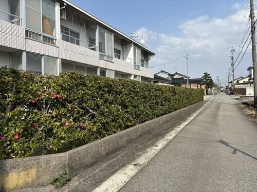 朝菜ハイツ_その他_2