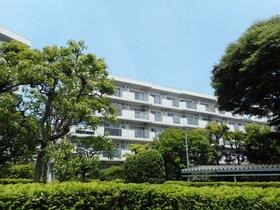 東鷲宮ニュータウン公園通り