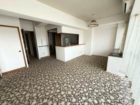 シャトー岡崎?番館