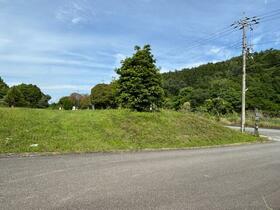 兵庫県丹波篠山市真南条上