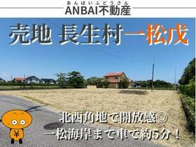 千葉県長生郡長生村一松戊