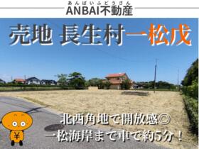 千葉県長生郡長生村一松戊